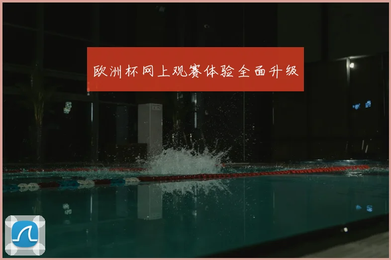 欧洲杯网上观赛体验全面升级
