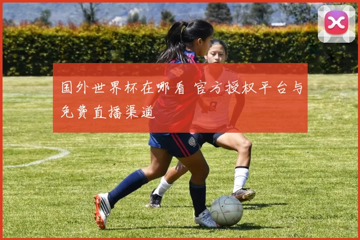 国外世界杯在哪看 官方授权平台与免费直播渠道