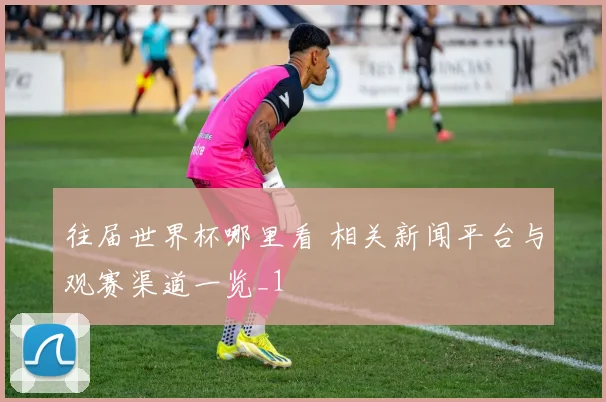 往届世界杯哪里看 相关新闻平台与观赛渠道一览_1