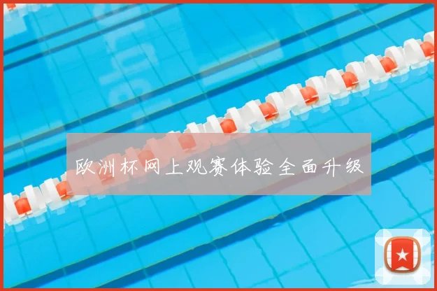 欧洲杯网上观赛体验全面升级
