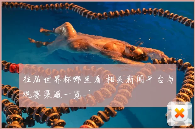 往届世界杯哪里看 相关新闻平台与观赛渠道一览_1