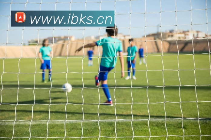 爱游戏(ayx)中国官方网站APP 体育赛事宣传图